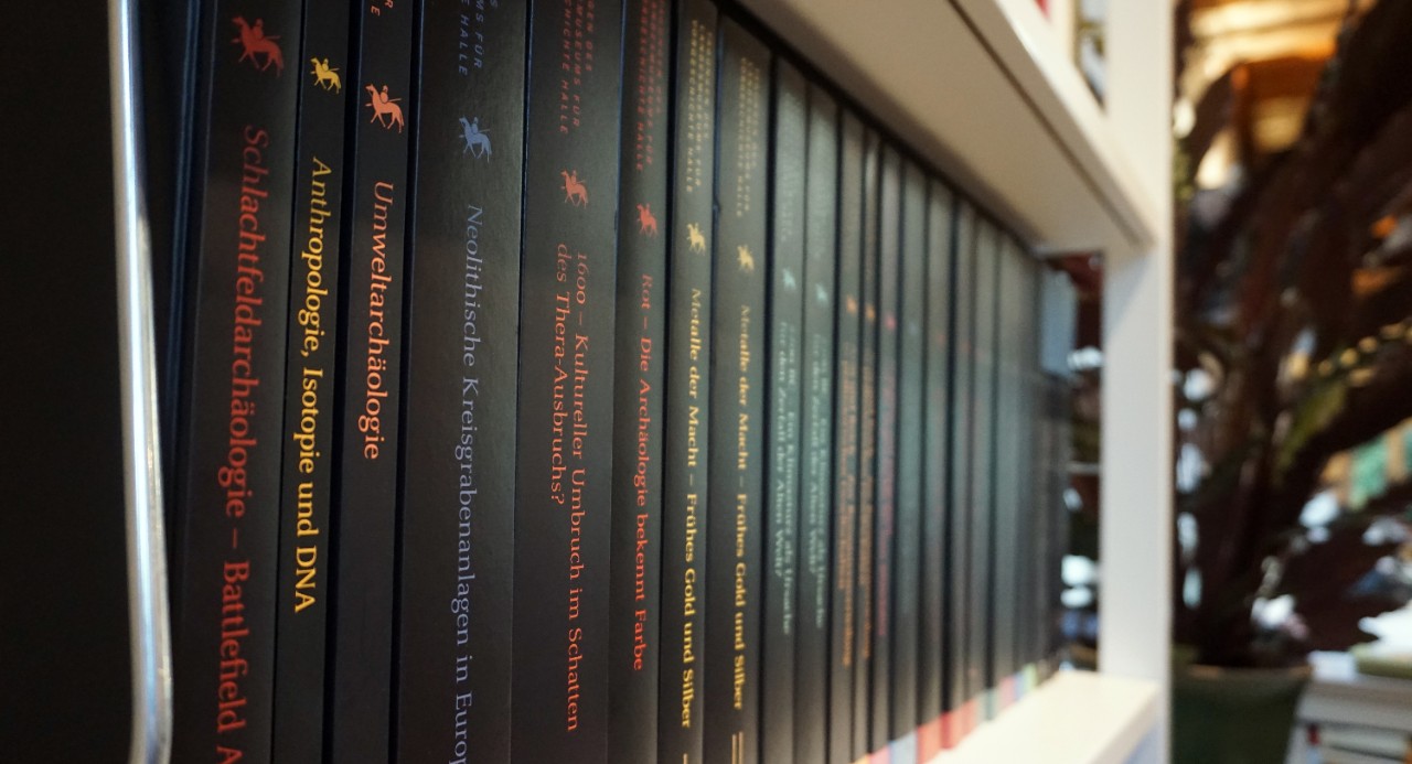Détail de la bibliothèque CRRA Titelberg    